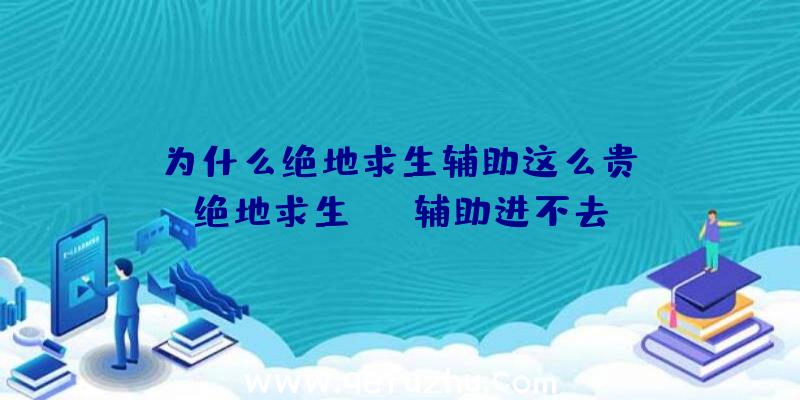 「为什么绝地求生辅助这么贵」|绝地求生skt辅助进不去